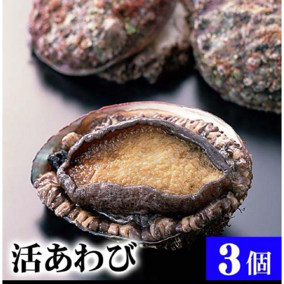 三陸産天然！活あわび 1キロ  漁師直売！新鮮！ 食品/飲料/酒の食品(魚介)の商品写真