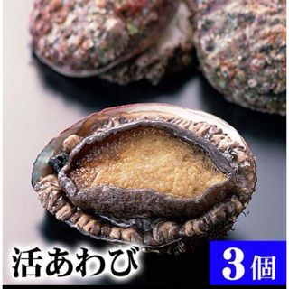 三陸産天然！活あわび 1キロ  漁師直売！新鮮！(魚介)