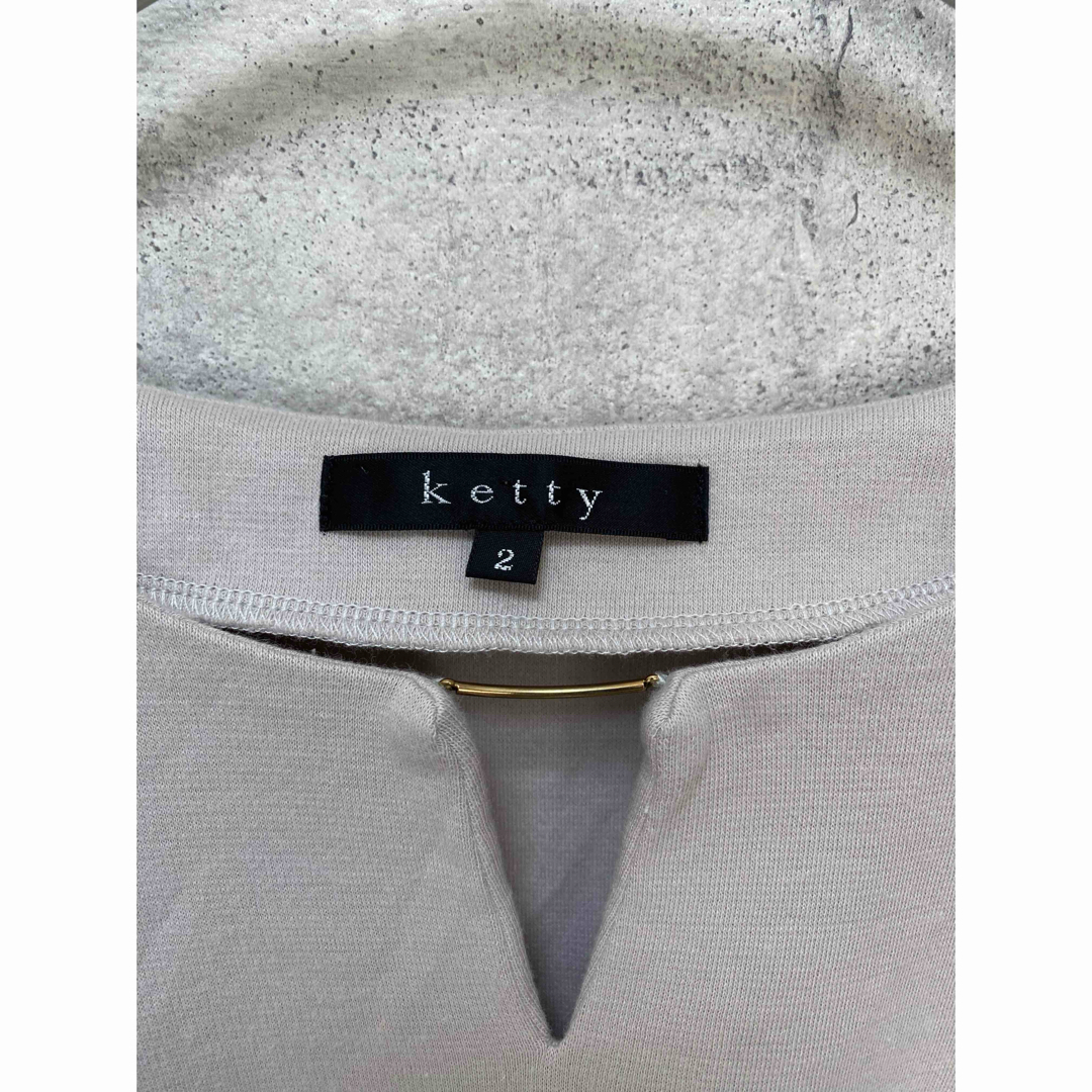 ketty(ケティ)のKetty ⭐️ 袖シフォンデザインニットカットソー レディースのトップス(カットソー(長袖/七分))の商品写真