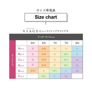 ヴィアージュ(VIAGE)の2枚 viage Lサイズ ブラック ヴィアージュ ナイトブラ 新品 正規品(その他)