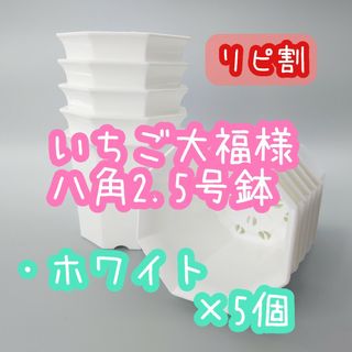 いちご大福様 八角鉢(プランター)