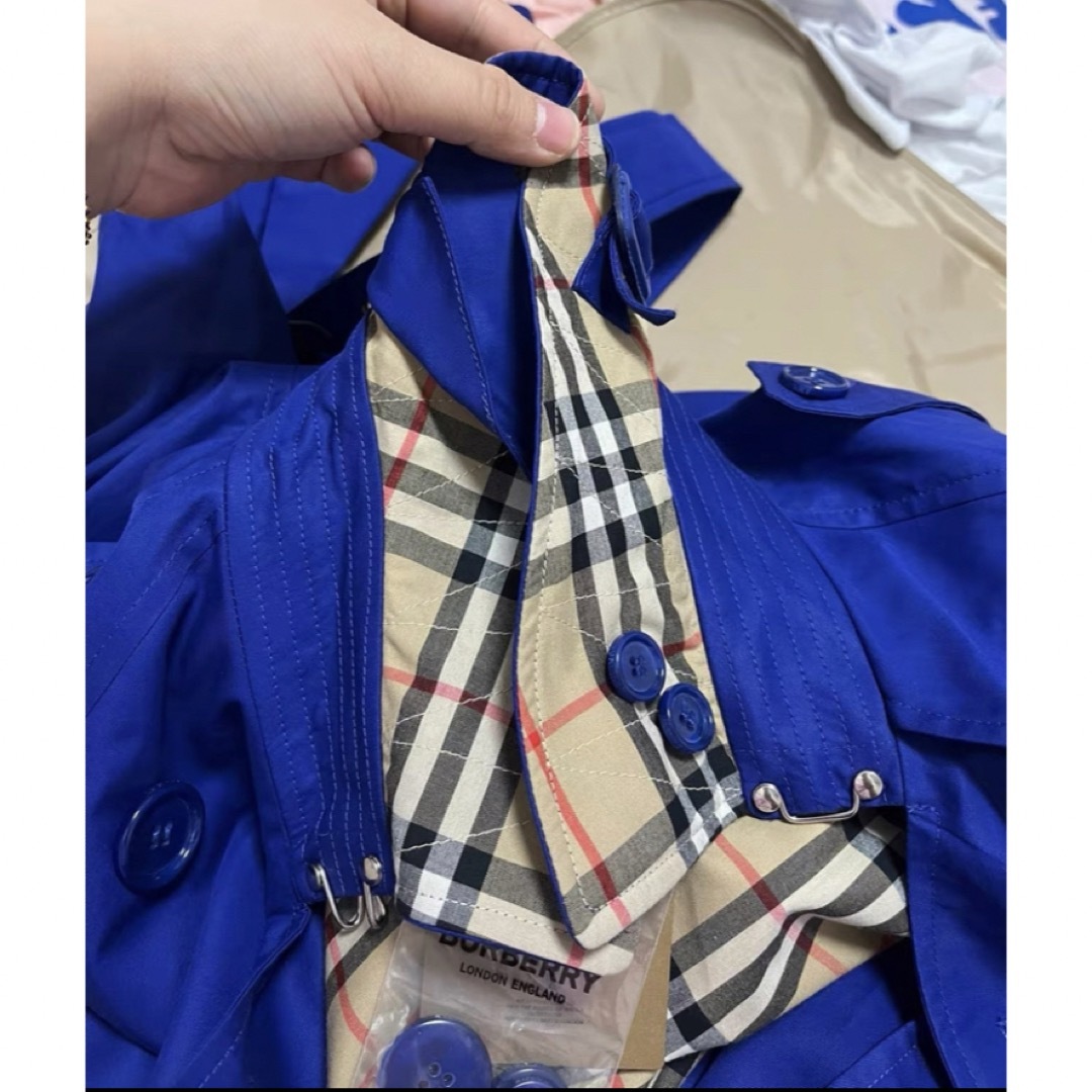 BURBERRY(バーバリー)の希少21AW バーバリー BUBERRY 36Waterlooトレンチコート メンズのジャケット/アウター(トレンチコート)の商品写真