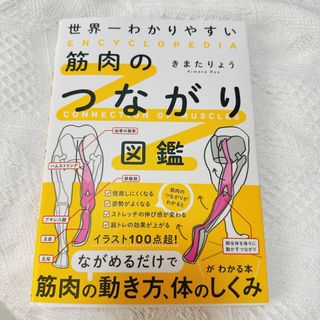 カドカワショテン(角川書店)の世界一わかりやすい筋肉のつながり図鑑(趣味/スポーツ/実用)