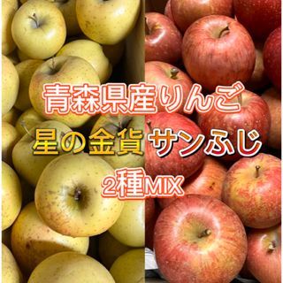 【産地直送】青森県産りんご  家庭用  10kg(フルーツ)