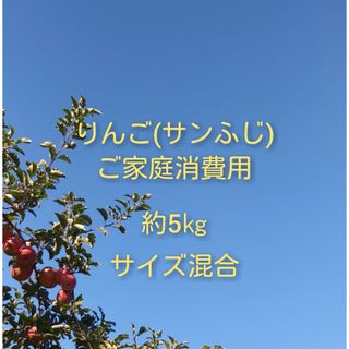 りんご(サンふじ)訳ありご家庭消費用 約5kg(フルーツ)