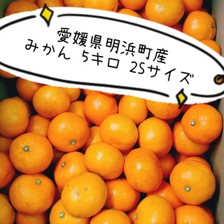 【愛媛県明浜町産】みかん 2Sサイズ 5キロ(フルーツ)