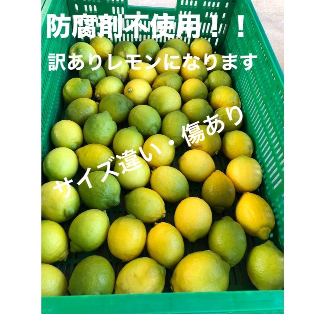 瀬戸内　広島瀬戸内レモン　12個入りセット　防腐剤不使用　訳あり 食品/飲料/酒の食品(フルーツ)の商品写真