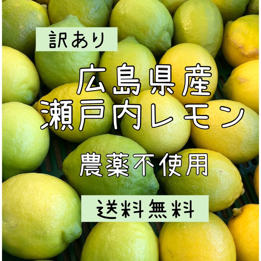 瀬戸内　広島瀬戸内レモン　12個入りセット　防腐剤不使用　訳あり 食品/飲料/酒の食品(フルーツ)の商品写真