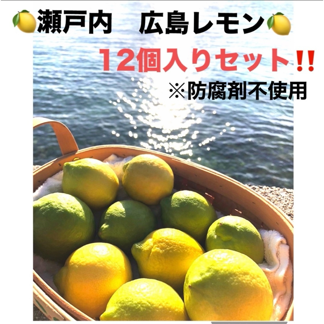 瀬戸内　広島瀬戸内レモン　12個入りセット　防腐剤不使用　訳あり 食品/飲料/酒の食品(フルーツ)の商品写真