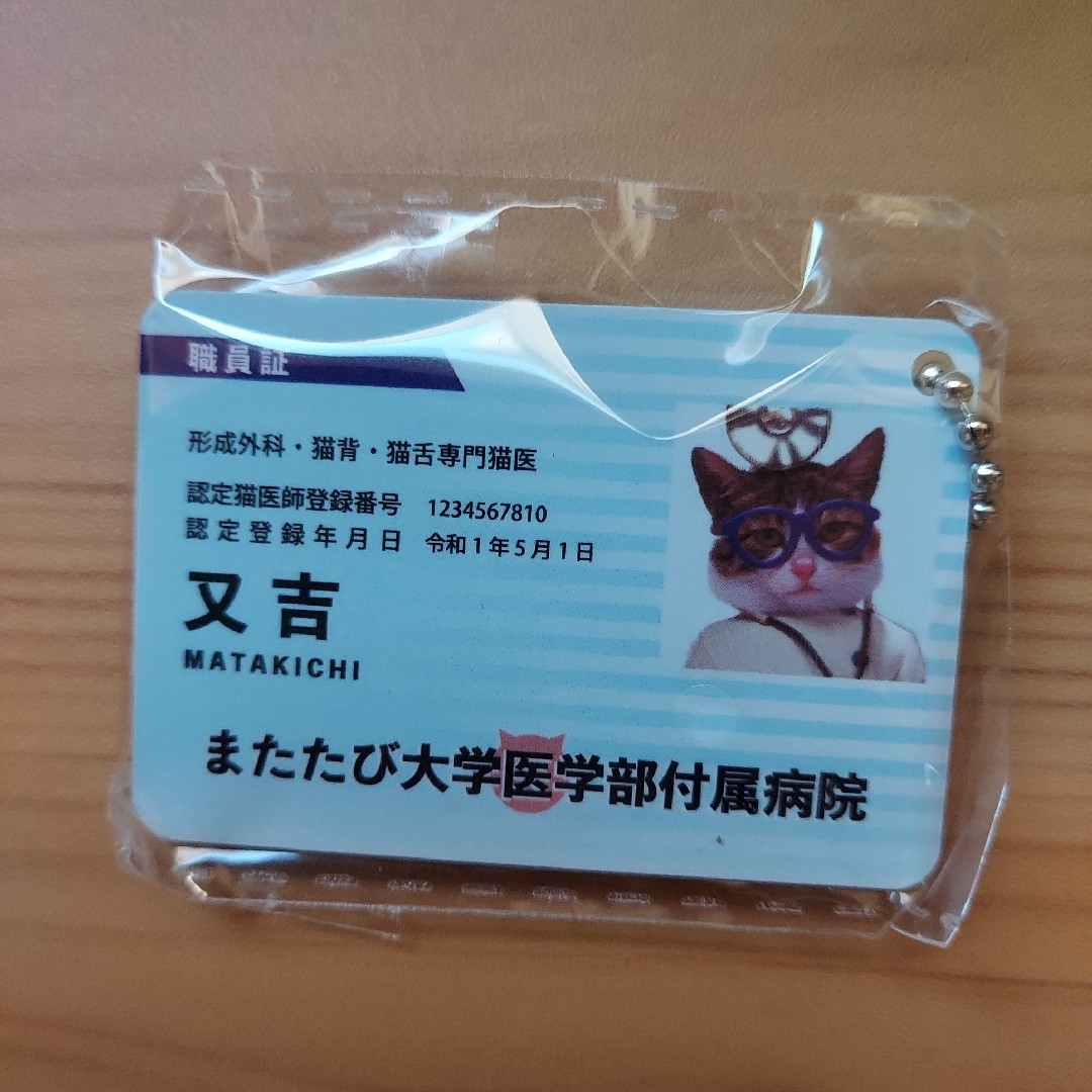 なめんなよ身分証明カードストラップガチャガチャ　フルコンプ　運転免許証　学生証 エンタメ/ホビーのおもちゃ/ぬいぐるみ(キャラクターグッズ)の商品写真