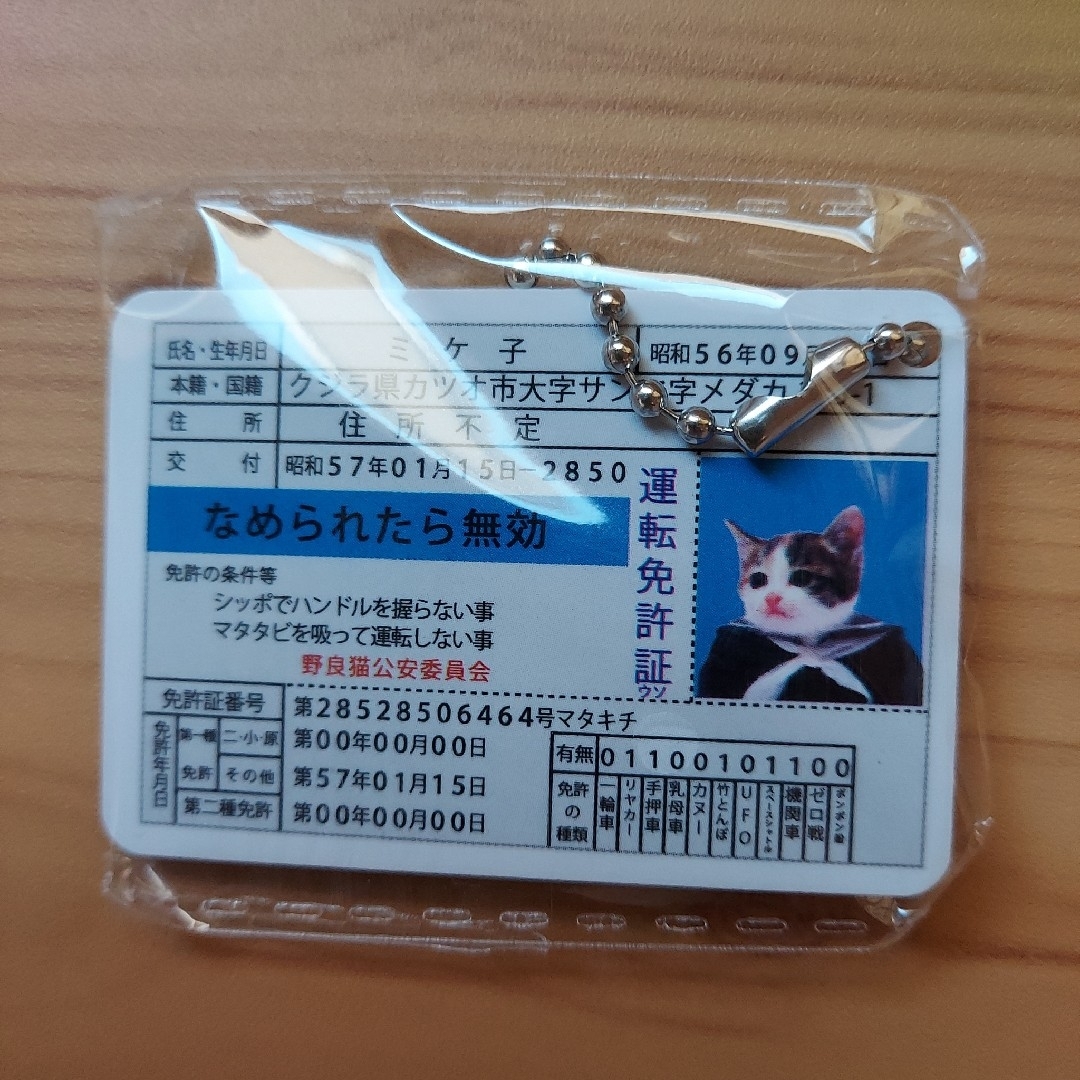 なめんなよ身分証明カードストラップガチャガチャ　フルコンプ　運転免許証　学生証 エンタメ/ホビーのおもちゃ/ぬいぐるみ(キャラクターグッズ)の商品写真