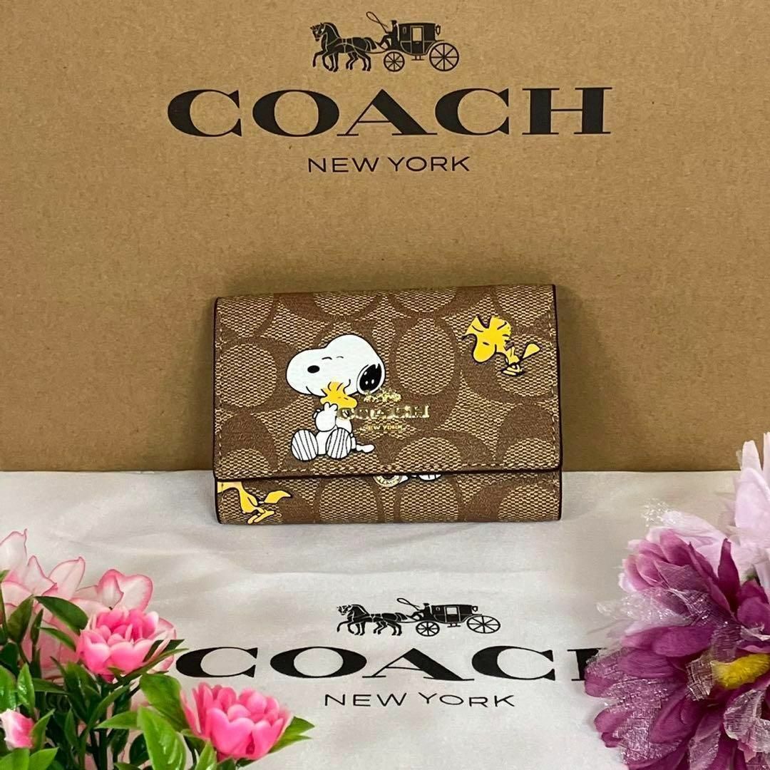 新品 coach コーチ キーケース SNOOPY スヌーピー - 小物 新品 coach コーチ キーケース SNOOPY スヌーピー - 小物