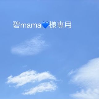 碧mama💙様専用(各種パーツ)