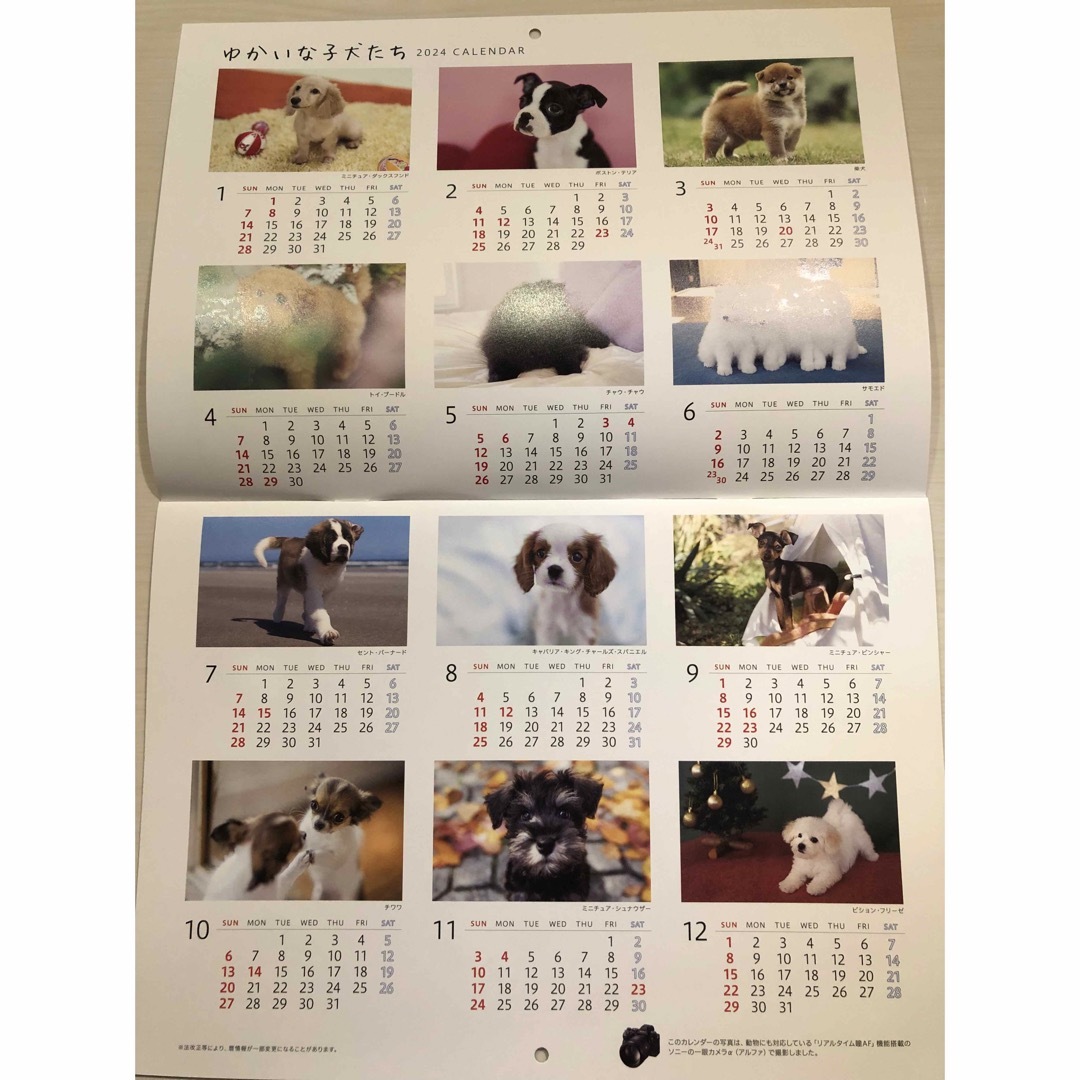 ソニー生命壁掛けカレンダー　ゆかいな子犬たち インテリア/住まい/日用品の文房具(カレンダー/スケジュール)の商品写真