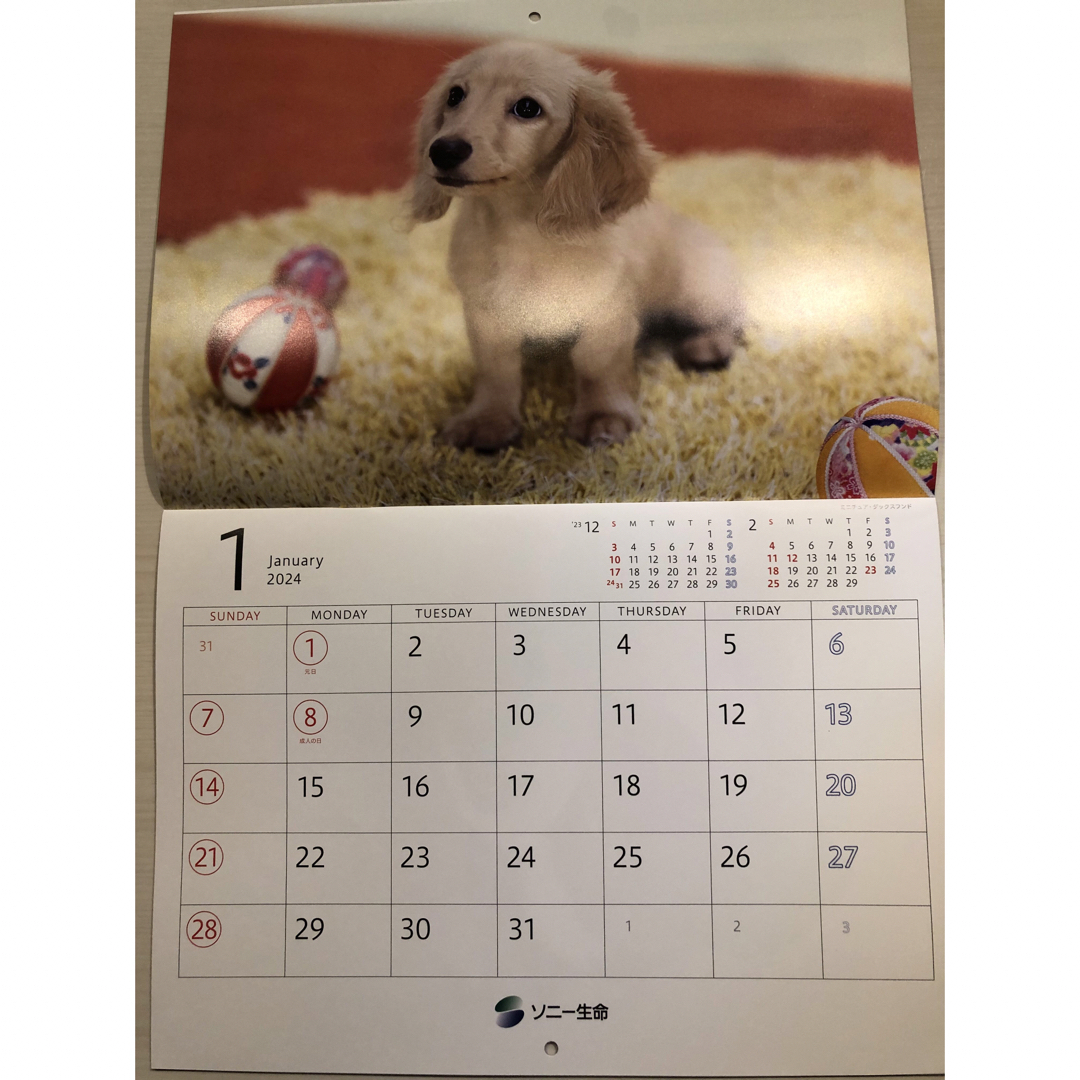 ソニー生命壁掛けカレンダー　ゆかいな子犬たち インテリア/住まい/日用品の文房具(カレンダー/スケジュール)の商品写真