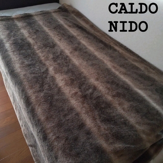 カルドニード★ シングル かけ毛布  ブラウン  日本製  CALDO NIDO(毛布)
