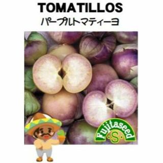 ＜野菜の種＞食用ほおずき　パープルトマティーヨ　20粒　ほうずき(プランター)