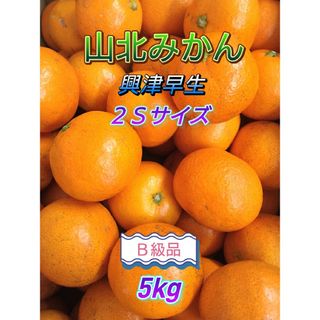 山北みかん★B級品★ 興津早生 2Sサイズ 5㎏ 高知県産(フルーツ)