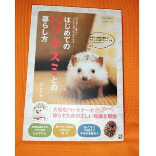 はじめてのハリネズミとの暮らし方(住まい/暮らし/子育て)