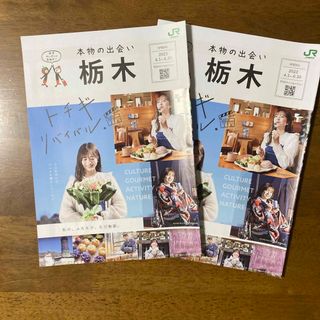 菊池柚花 本物の出会い 栃木 2023年春号 ２冊！ 未使用(女性タレント)