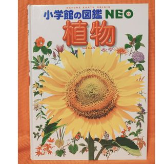 ショウガクカン(小学館)の小学館の図鑑NEO植物(絵本/児童書)