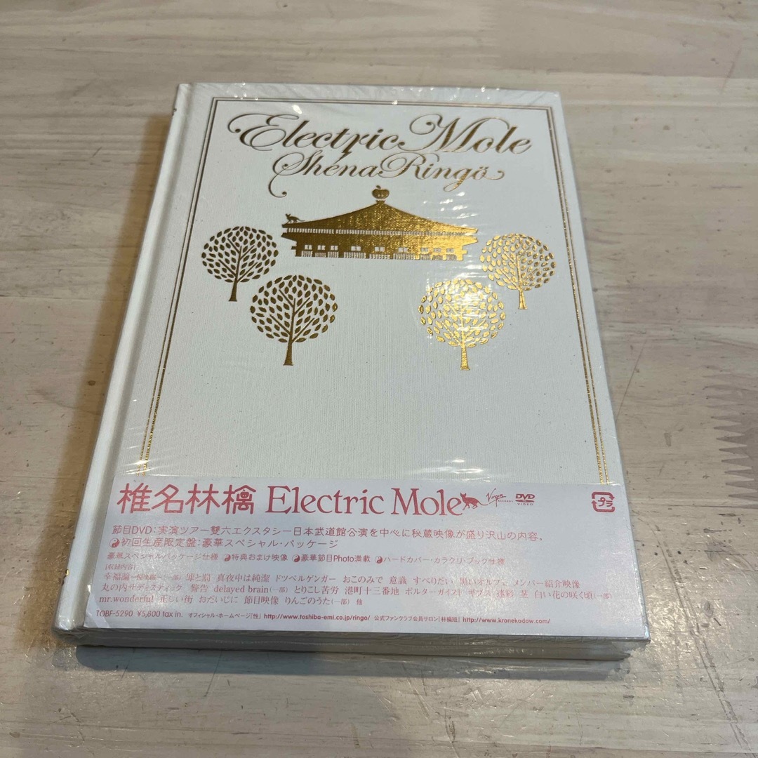 Electric　Mole（初回生産限定盤） DVD エンタメ/ホビーのDVD/ブルーレイ(ミュージック)の商品写真