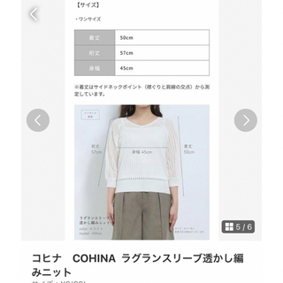 コヒナ(COHINA)のコヒナ　COHINA  ラグランスリーブ透かし編みニット(ニット/セーター)