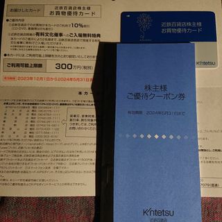 キンテツヒャッカテン(近鉄百貨店)の最新 近鉄百貨店株主優待 女性名義お買い物優待カード・ご優待クーポンその2(その他)