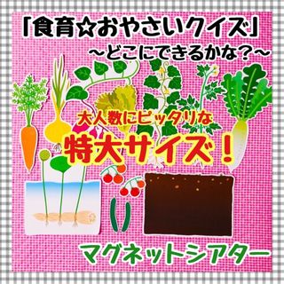 特大マグネットシアター　食育　野菜　保育知育教材　パネルシアター　誕生会(知育玩具)