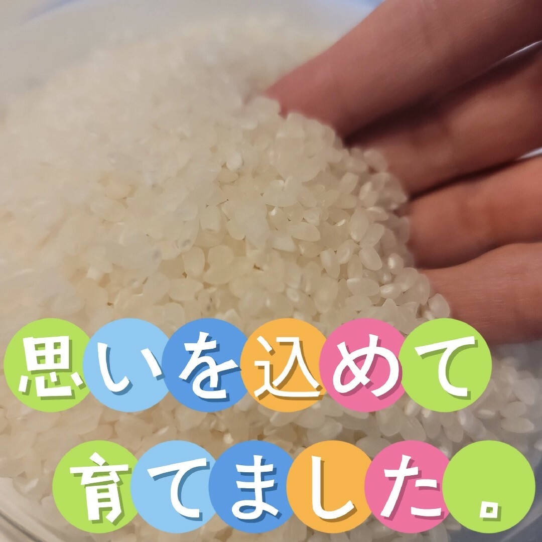 値下げ！注文後に精米します！新米【令和5年産】三重県 伊賀米 コシヒカリ 10㎏ 食品/飲料/酒の食品(米/穀物)の商品写真