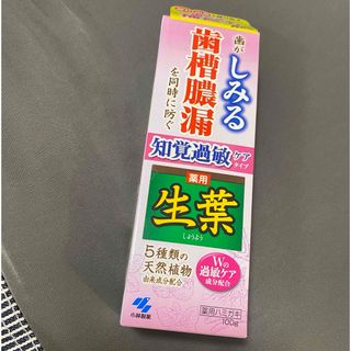 コバヤシセイヤク(小林製薬)の⭐️新品⭐️薬用歯磨き　生葉　100g(歯磨き粉)