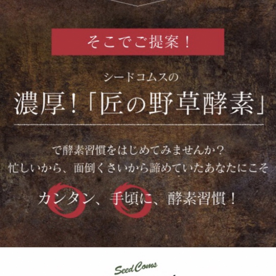 匠の野草酵素 野菜酵素 練酵素 ビタミン 乳酸菌  サプリメント 約3ヵ月分 コスメ/美容のダイエット(ダイエット食品)の商品写真