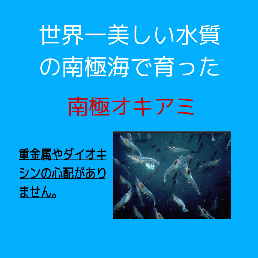 老化は血管から！血管や脳を健やかに保つ！新世代オメガ３【しん健堂　クリルオイル】クリルオイル