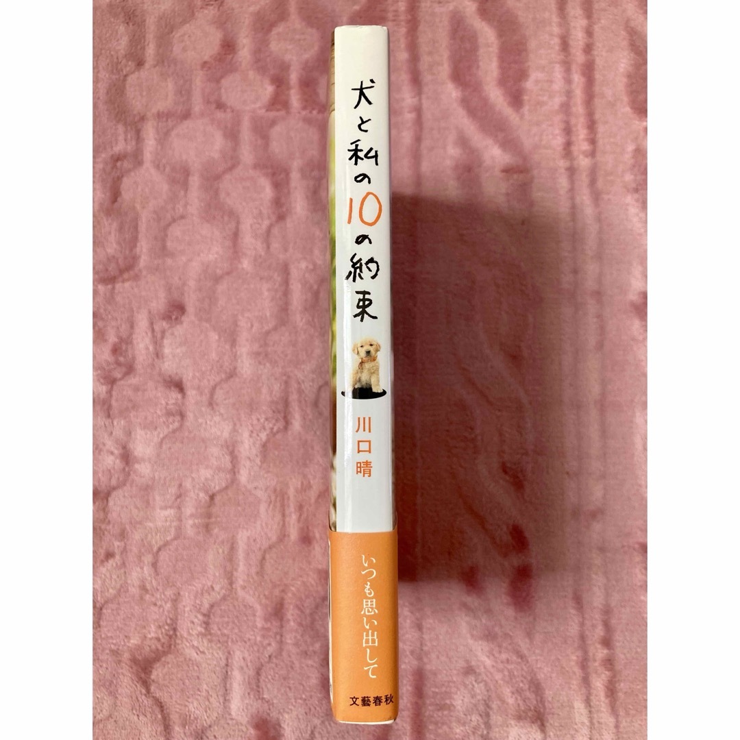 犬と私の10の約束　ゴールデンレトリバー　川口晴 エンタメ/ホビーの本(文学/小説)の商品写真