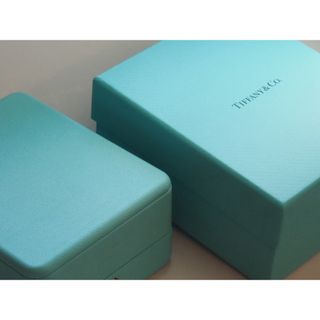 ティファニー(Tiffany & Co.)の【TIFFANY&Co. 】ティファニー新作ブルーボックス　　ネックレス(その他)