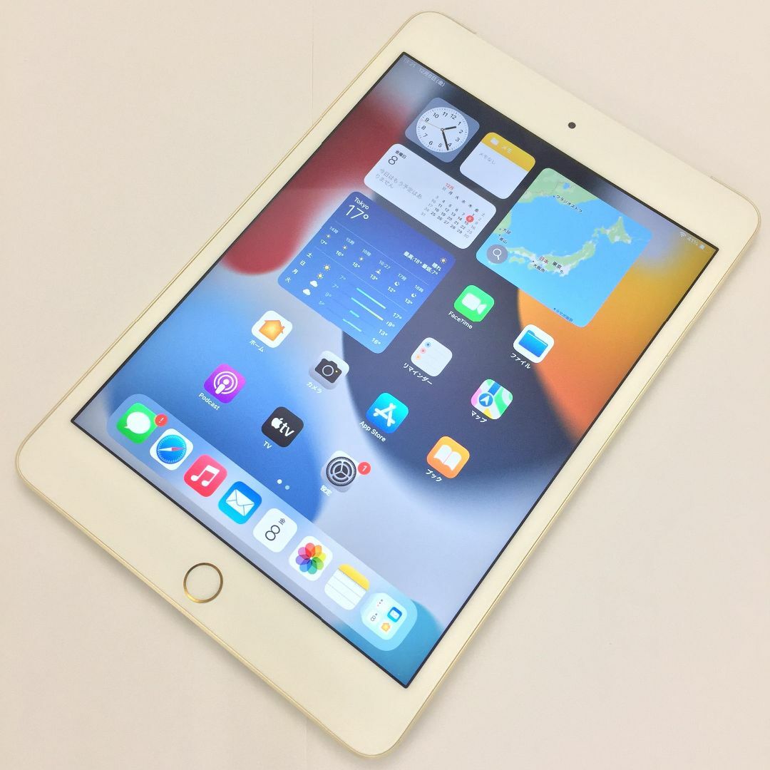 iPad⇒対応回線【B】iPad mini 4/128GB/359295062199560