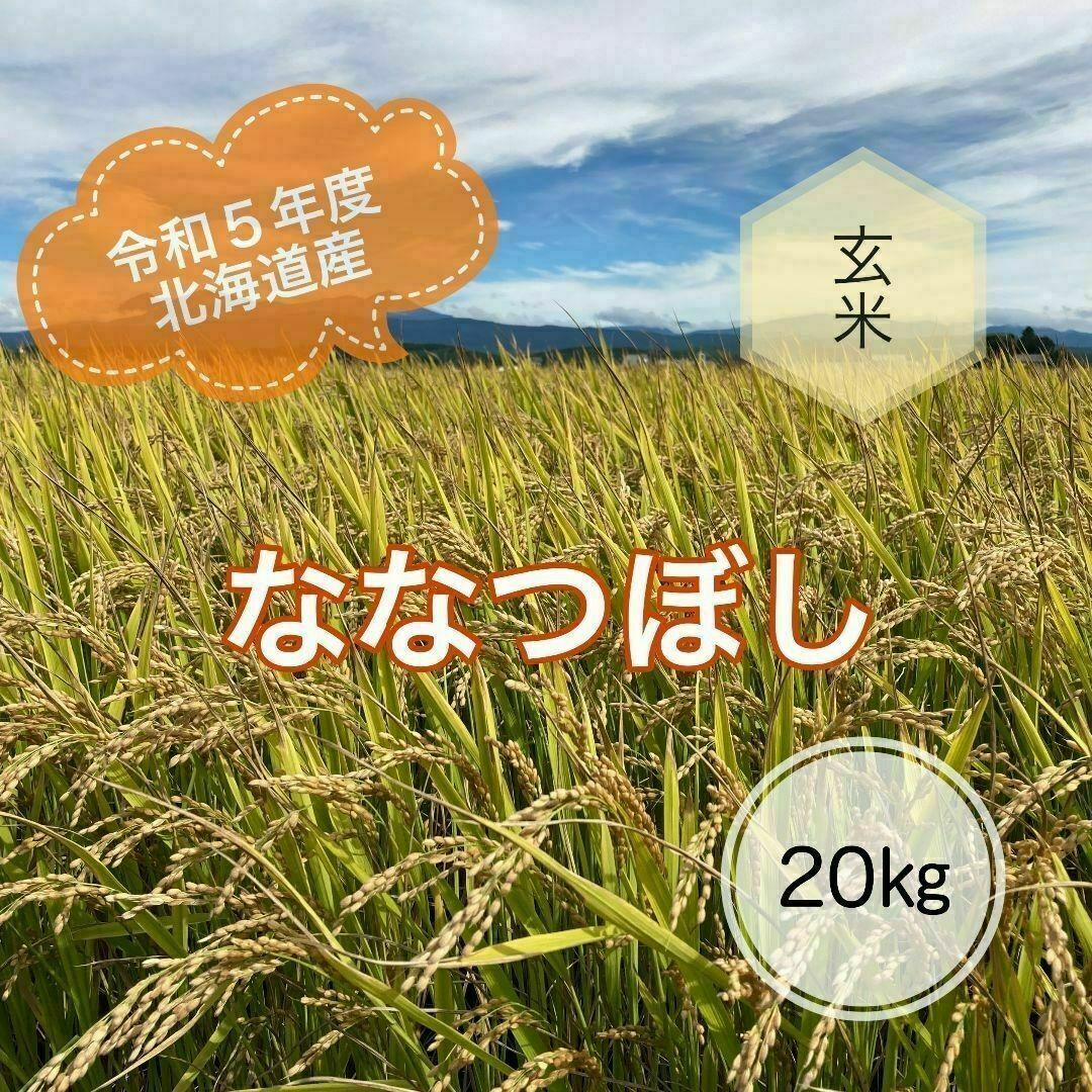 北海道産令和5年度北海道産ななつぼし玄米20キロ農家直送