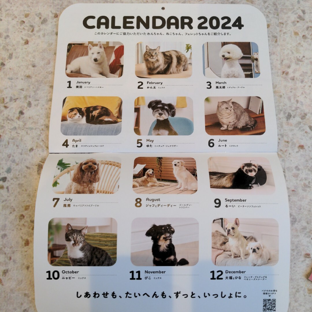 2024年カレンダー2冊犬猫　2冊セット インテリア/住まい/日用品の文房具(カレンダー/スケジュール)の商品写真