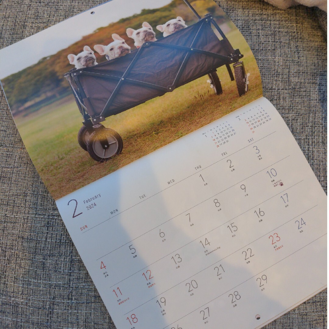 2024年カレンダー 犬 インテリア/住まい/日用品の文房具(カレンダー/スケジュール)の商品写真