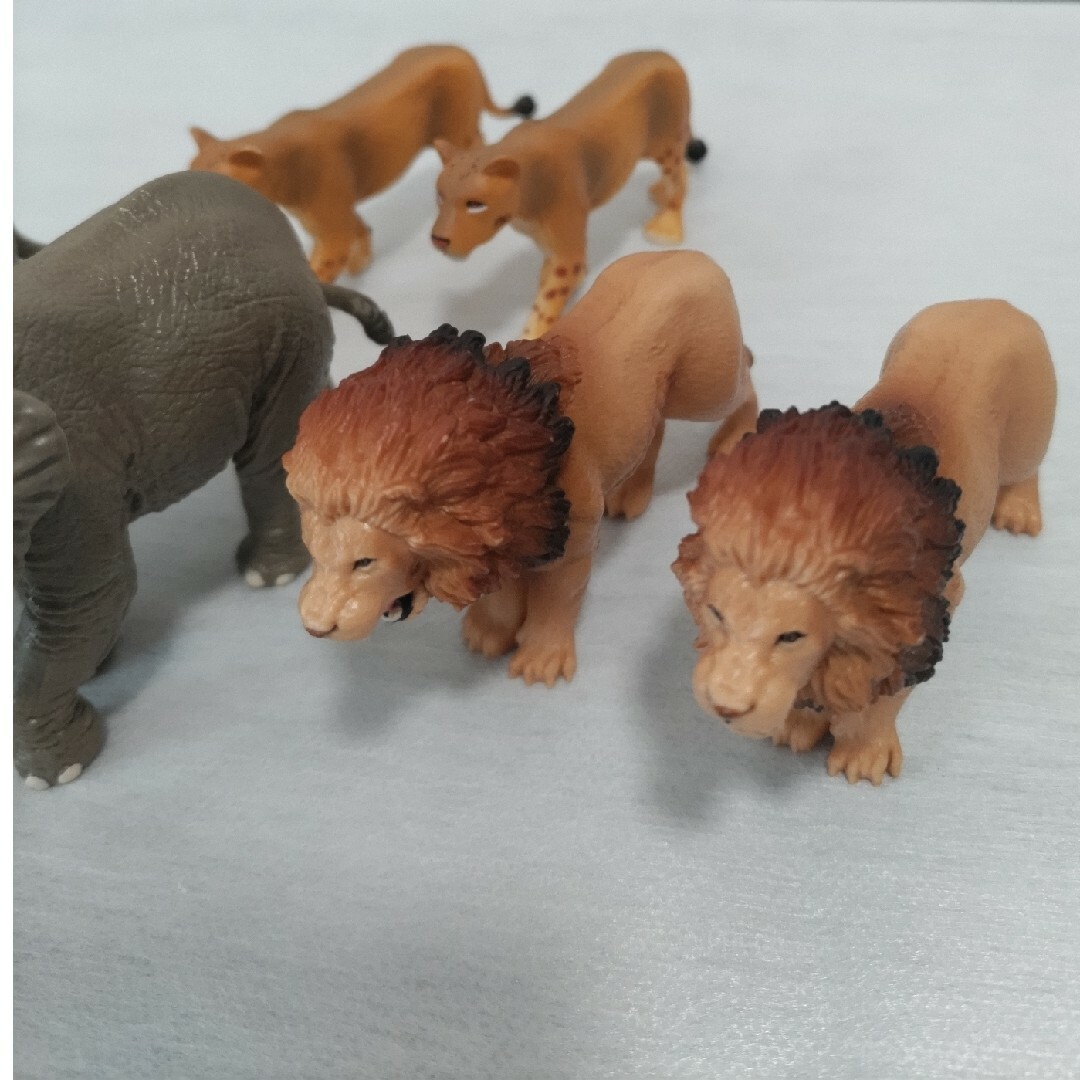 Ania（TAKARA Tomy）(アニア)のアニア　ライオン　ゾウ　6 個セット　双子　兄弟　まとめ売り　新品 エンタメ/ホビーのおもちゃ/ぬいぐるみ(キャラクターグッズ)の商品写真