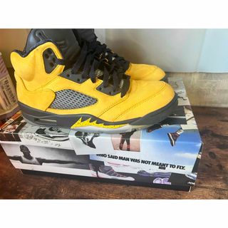 ナイキ(NIKE)の乱丸様専用NIKE AIR JORDAN 5 MICHIGAN 28センチ(スニーカー)