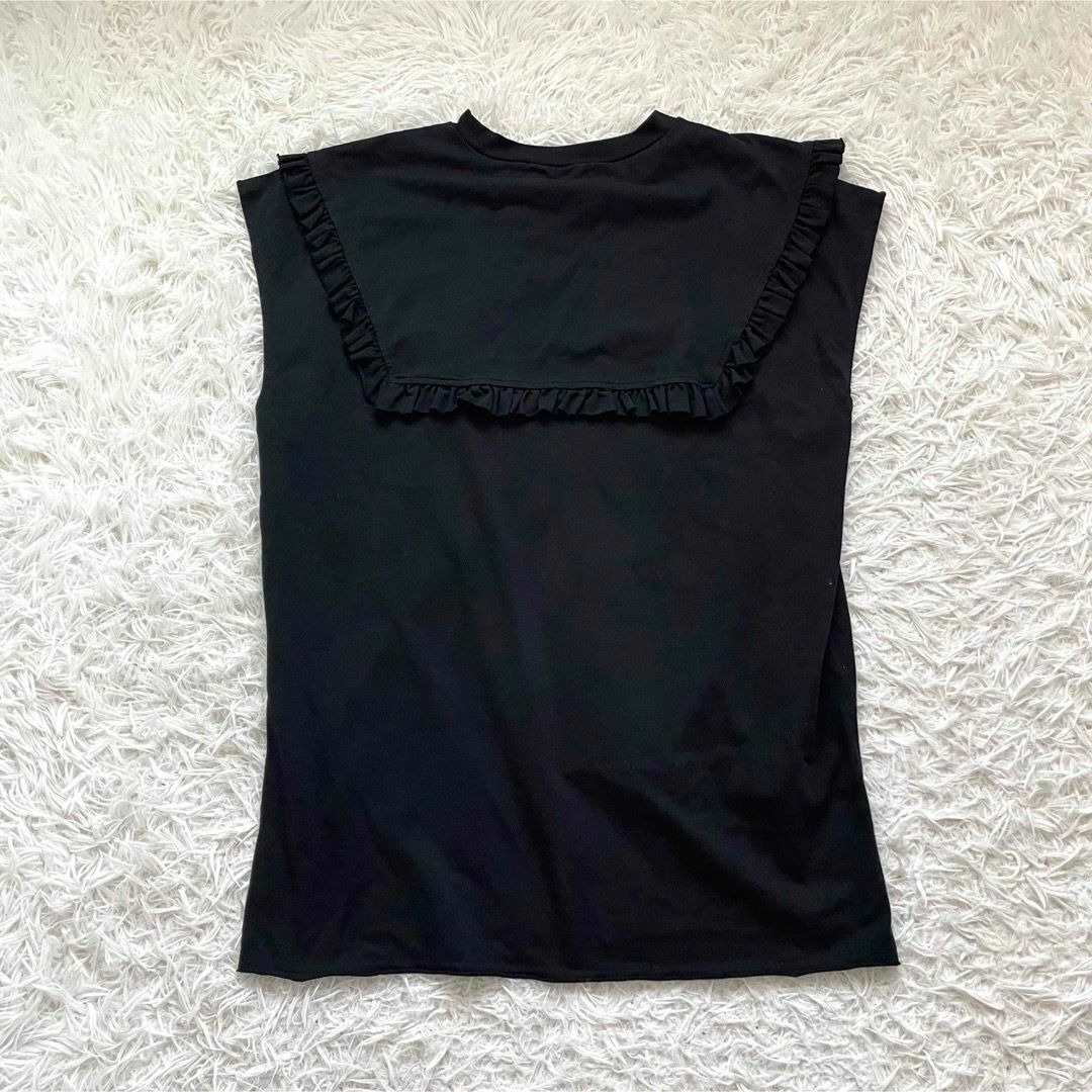 HeRIN.CYE(ヘリンドットサイ)の【完売】HeRIN.CYE　ヘリンドットサイ　Frill collar tee| レディースのトップス(カットソー(長袖/七分))の商品写真