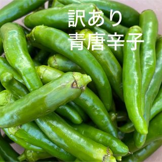 訳あり　青唐辛子　400g  (野菜)