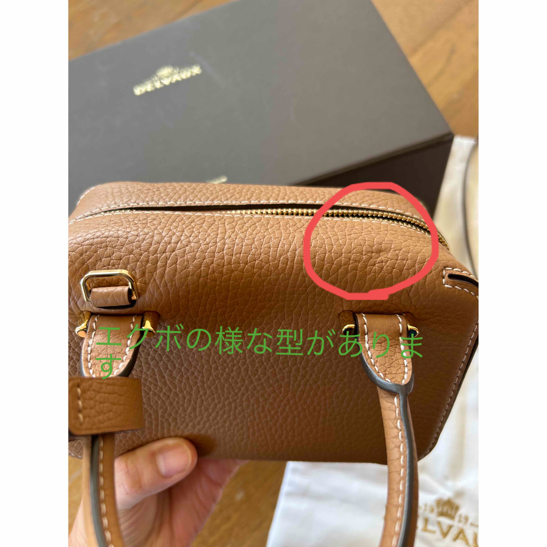 DELVAUX(デルヴォー)のデルヴォー　クールボックスナノ　ベジタル レディースのバッグ(ショルダーバッグ)の商品写真