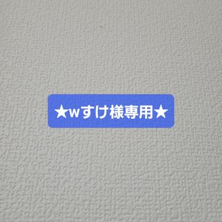 ★wすけ様専用★(その他)