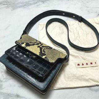 マルニ(Marni)の【希少】極美品　マルニ　トランク　パイソンレザー　ショルダー　エメラルドグリーン(ショルダーバッグ)