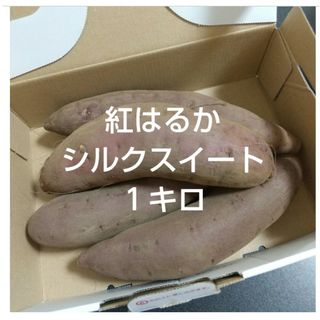 埼玉県産 さつまいも 紅はるか シルクスイート 約１キロ(野菜)