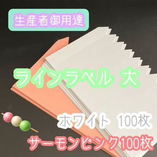 肌と白◎ 各100枚 ◎ (大) ラインラベル 園芸ラベル カラーラベル(その他)