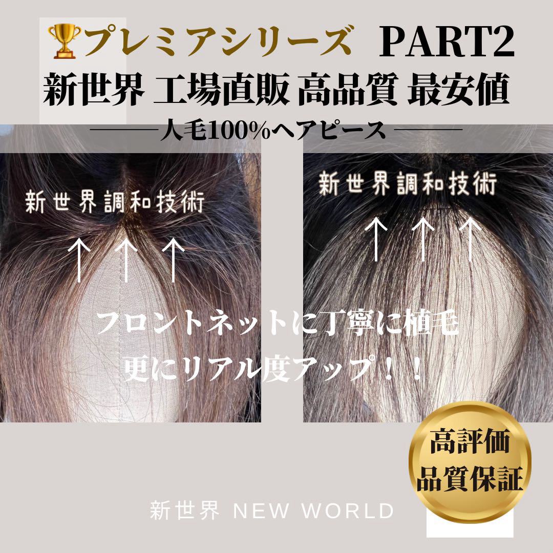 新世界ヘアピース2023年下半期生産☆全高級人工頭皮14*15総手植46 ...