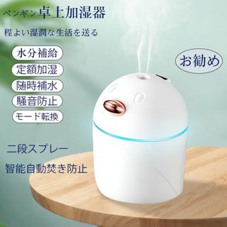 加湿器 超音波式 卓上 ホワイト オフィス255ml カラーランプ 静音 花粉症(加湿器/除湿機)